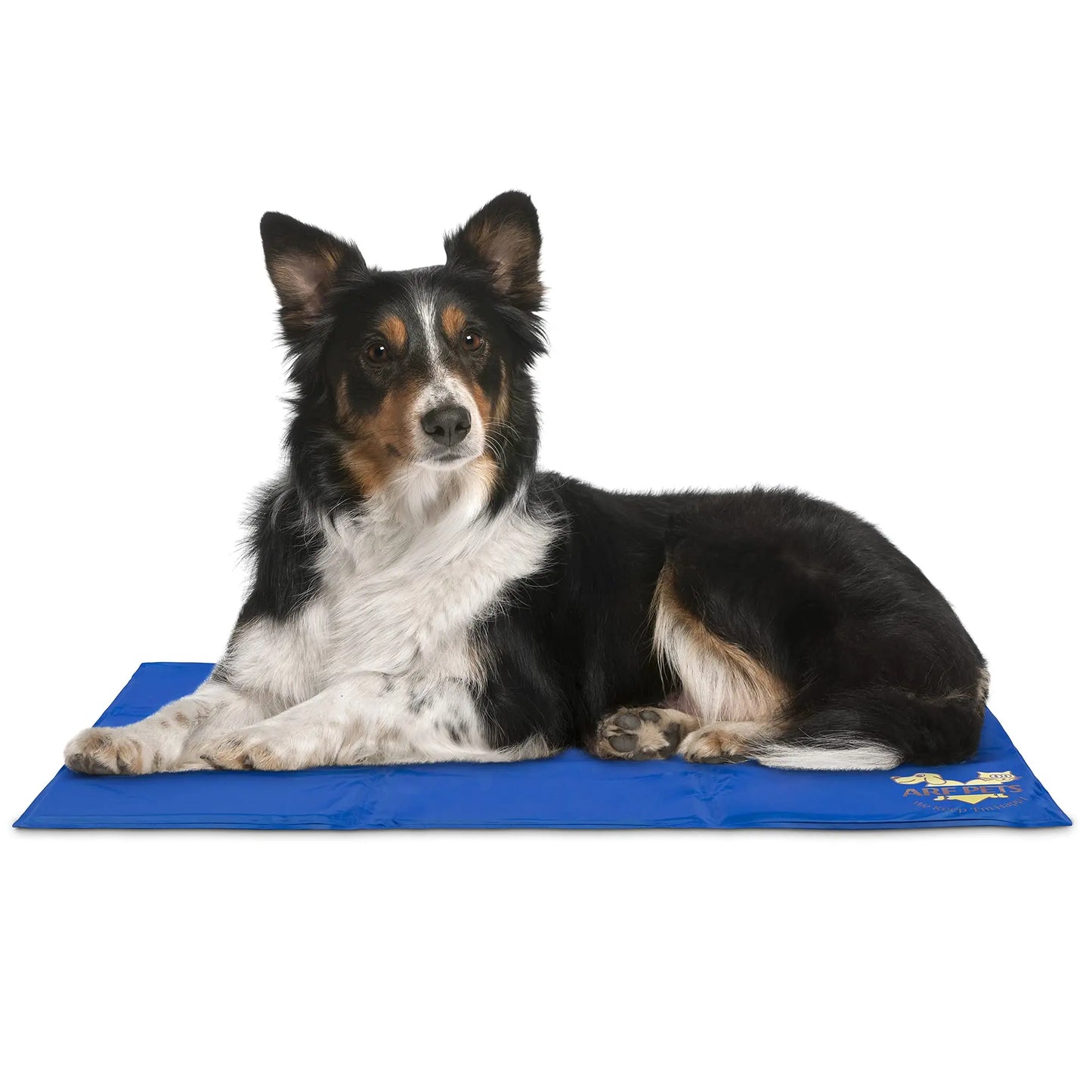Arf Pets Dog Cooling Mat Non Toxic Gel Bed For Kennels