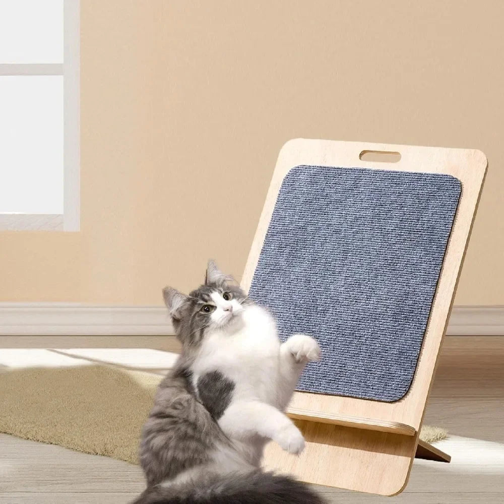 Cat Scratching Board Interactive Toy for Indoor Cats