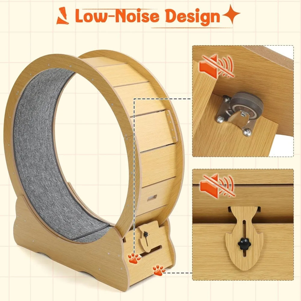 Cat Wheel for Indoor Cats by NoEnName