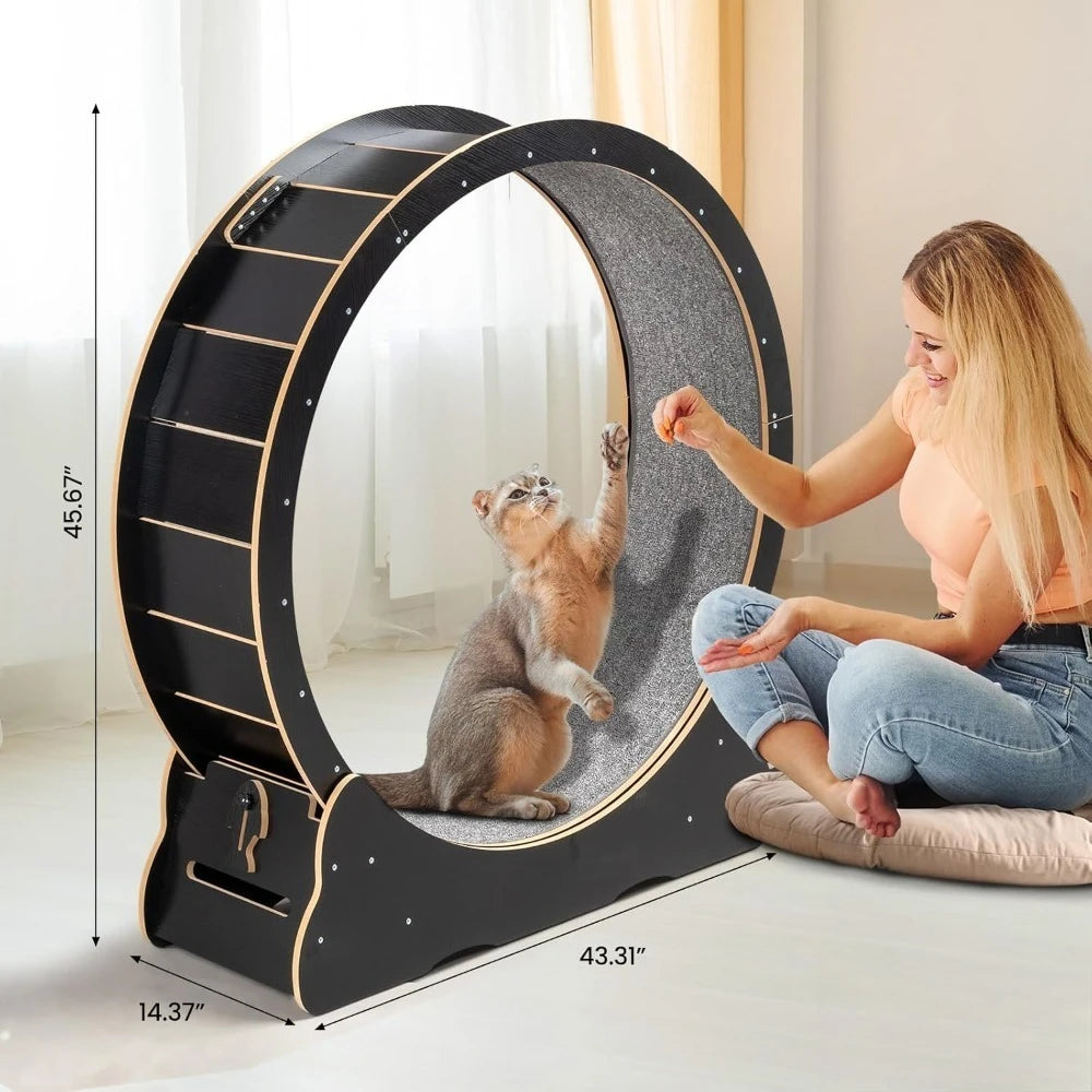 Cat Wheel Large Exercise Wheel for Indoor Cats