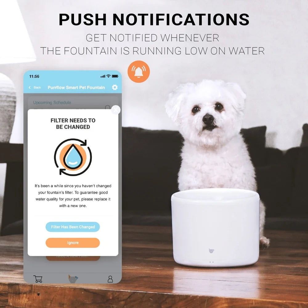 INSTACHEW Purrflow Smart Automatic Pet Water Fountain