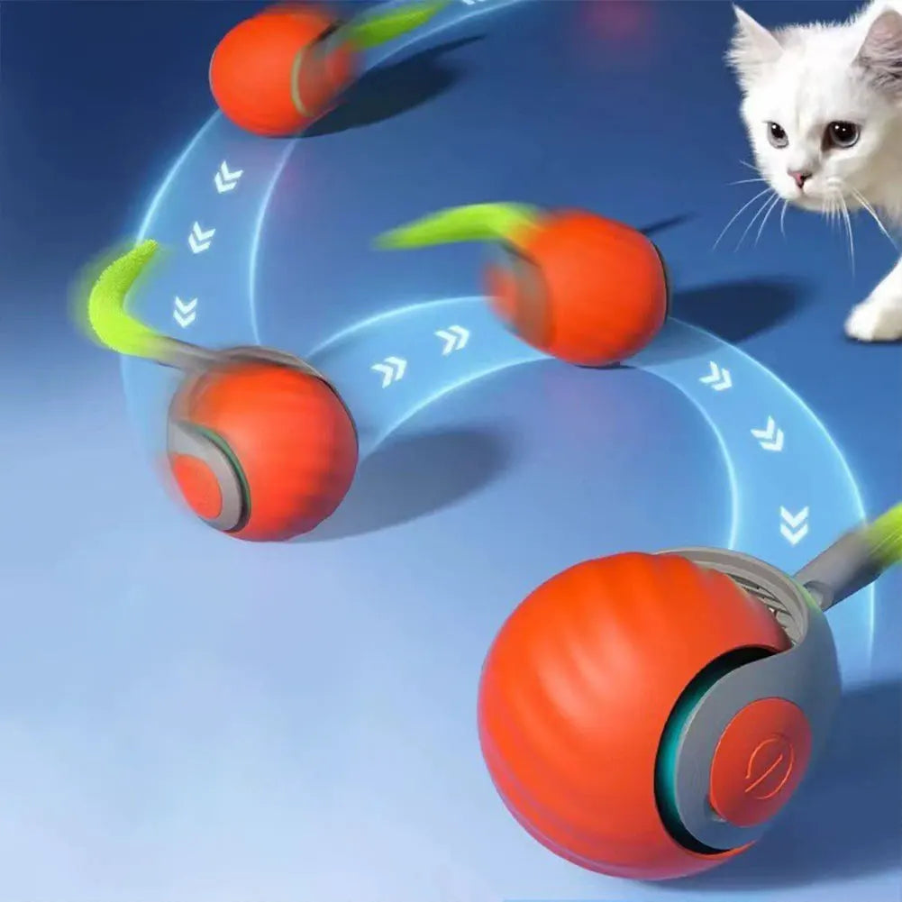 Guangdong Rechargeable Interactive Rolling Ball Pet Toy