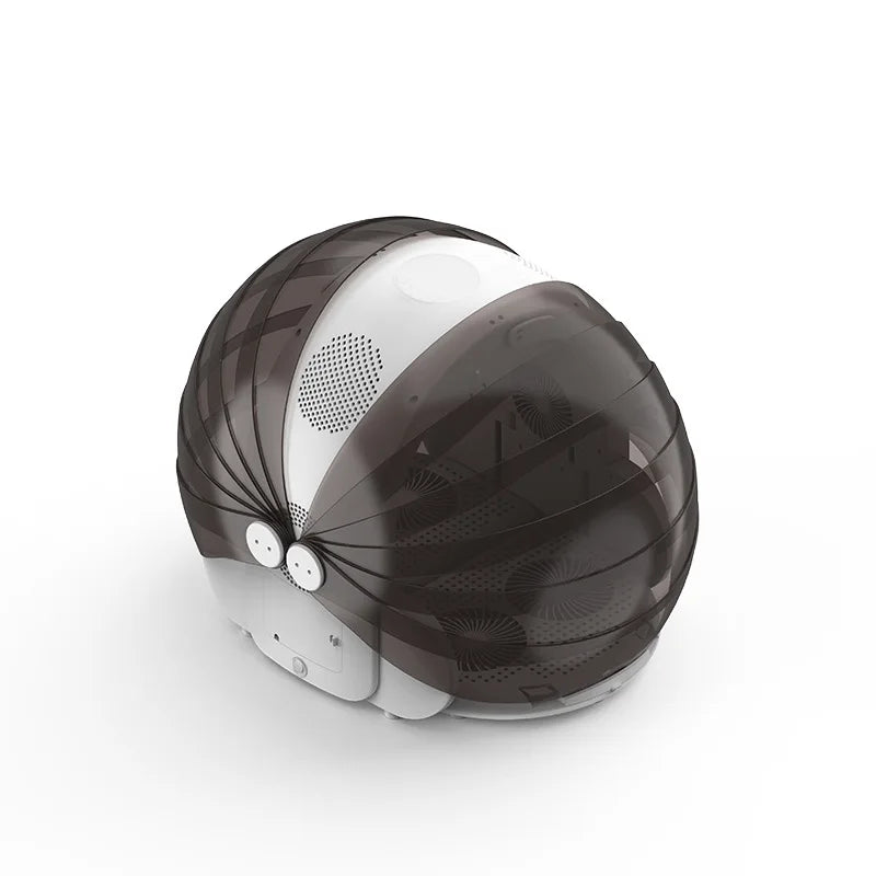 Automatic Smart Dryer Water Blower for Pets
