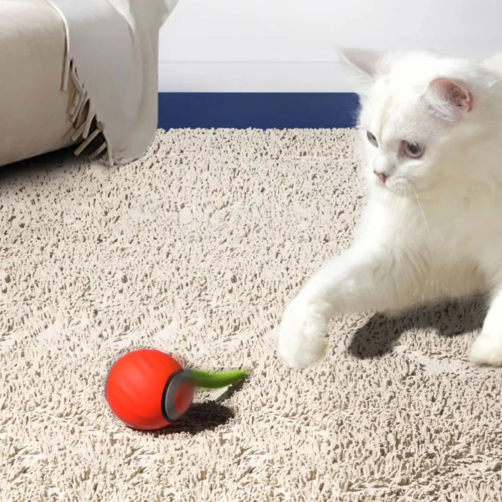 Guangdong Rechargeable Interactive Rolling Ball Pet Toy