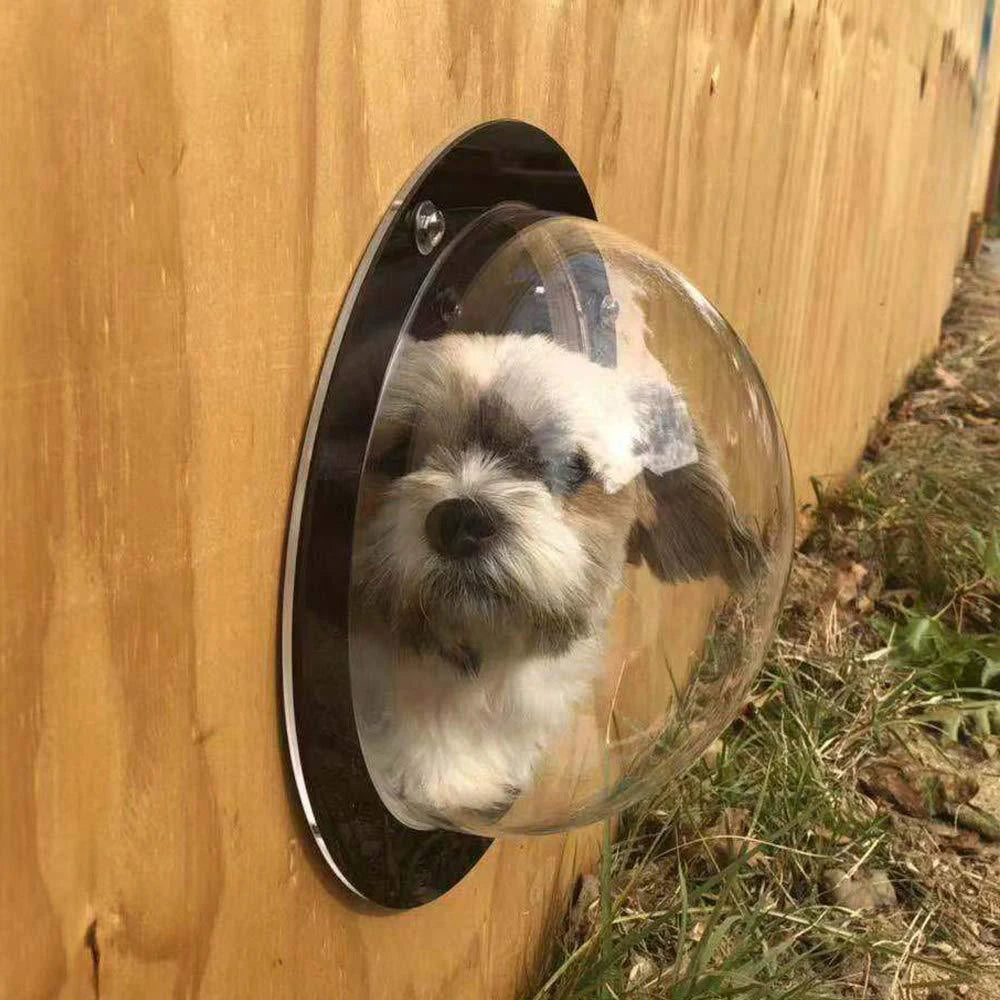 Pet Fence Window With Air Holes For Pets