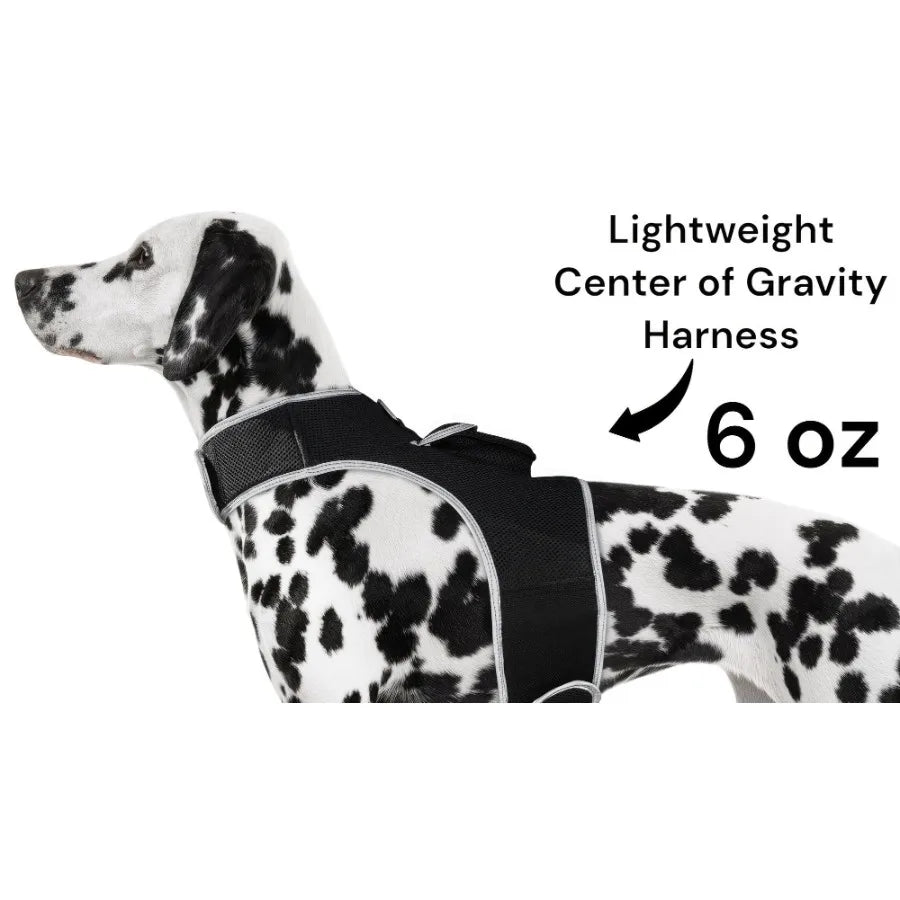 Hign Concerned Long Range GPS GSM Dog Tracking Collar