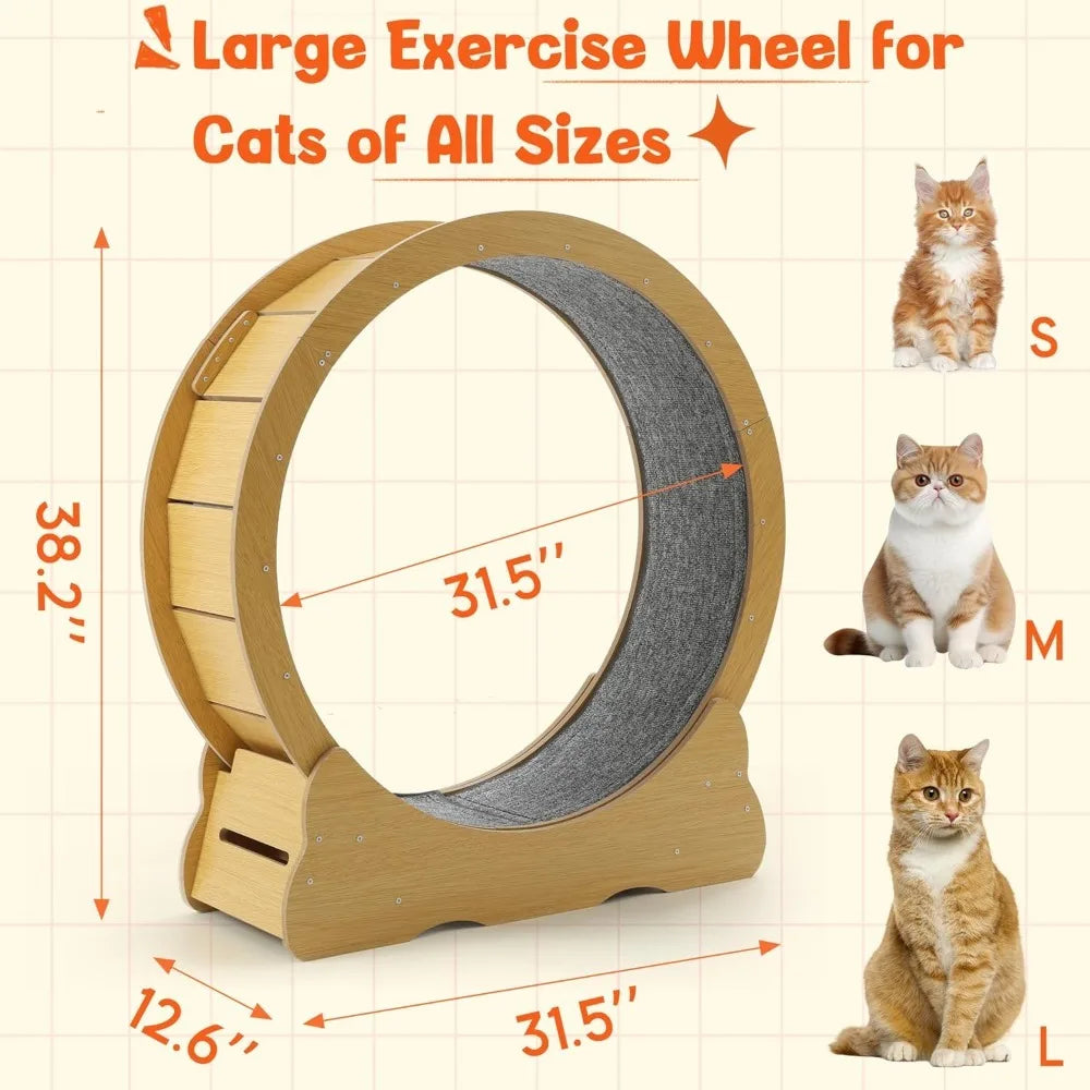 Cat Wheel for Indoor Cats by NoEnName