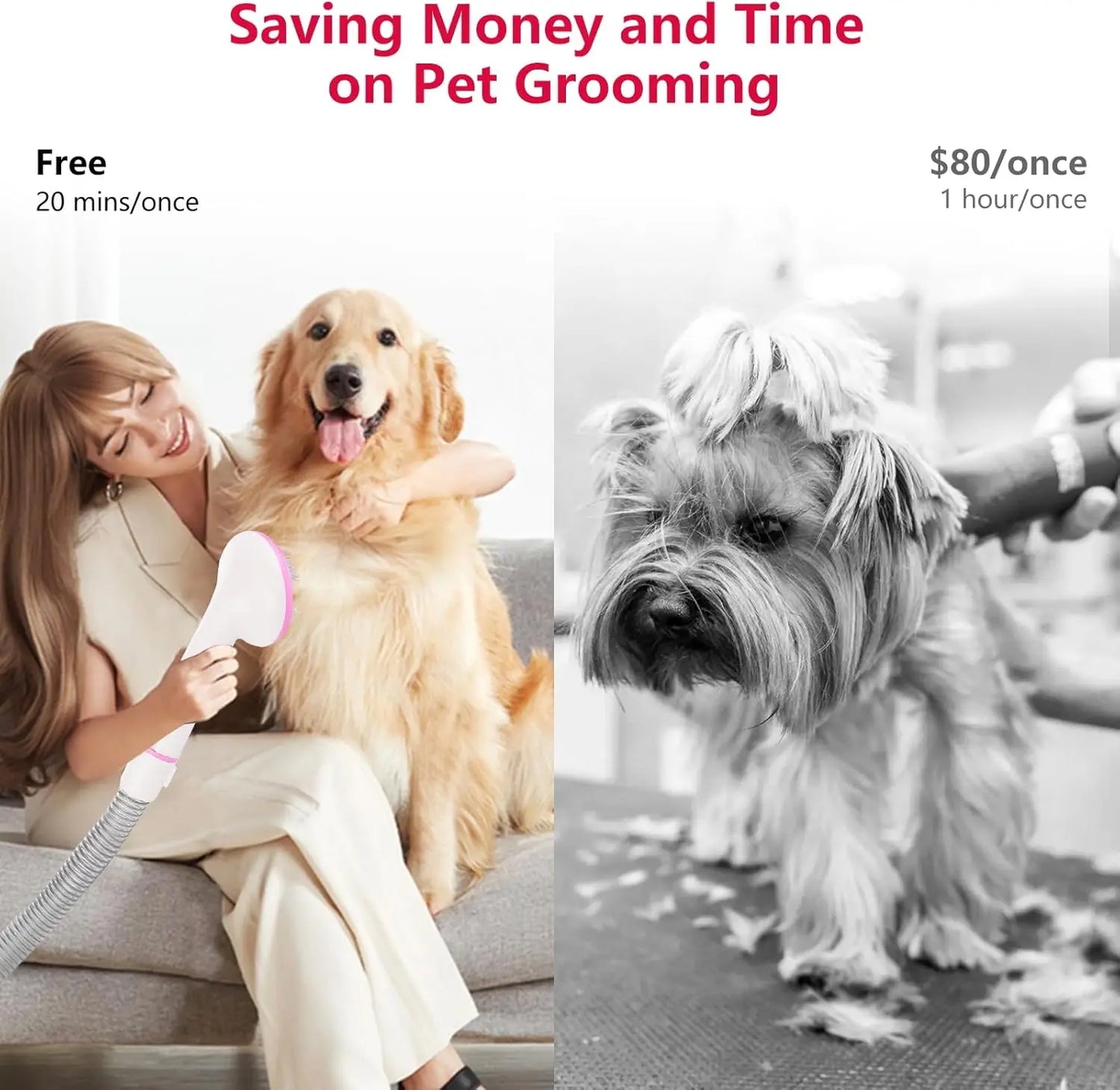 Pet Grooming Vacuum Multi-Functional Grooming Kit