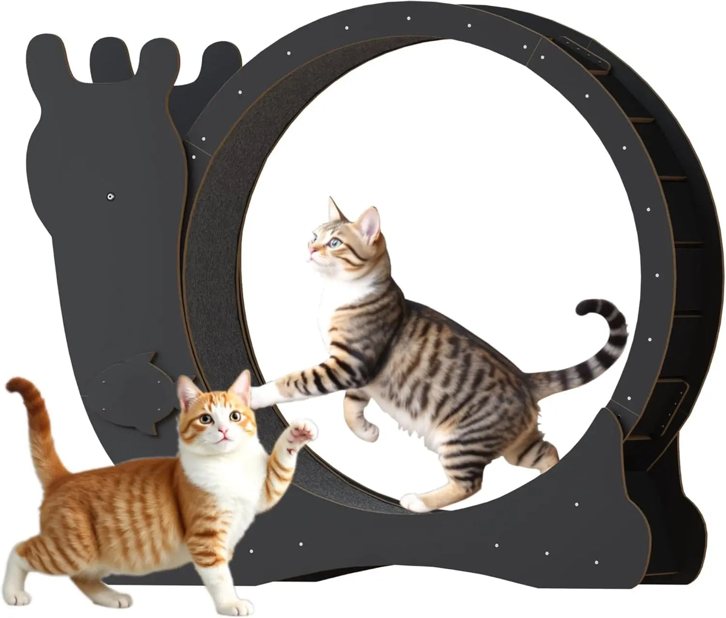 Cat Exercise Wheel with Locking Mechanism and Silent Design