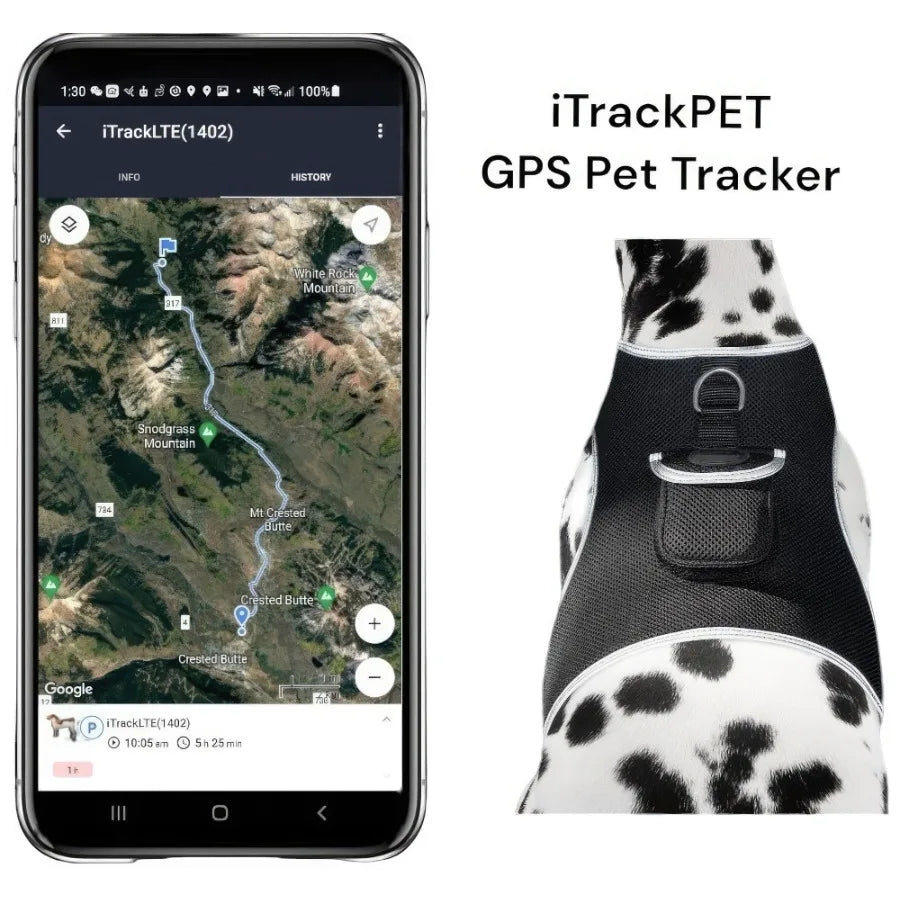 Hign Concerned Long Range GPS GSM Dog Tracking Collar