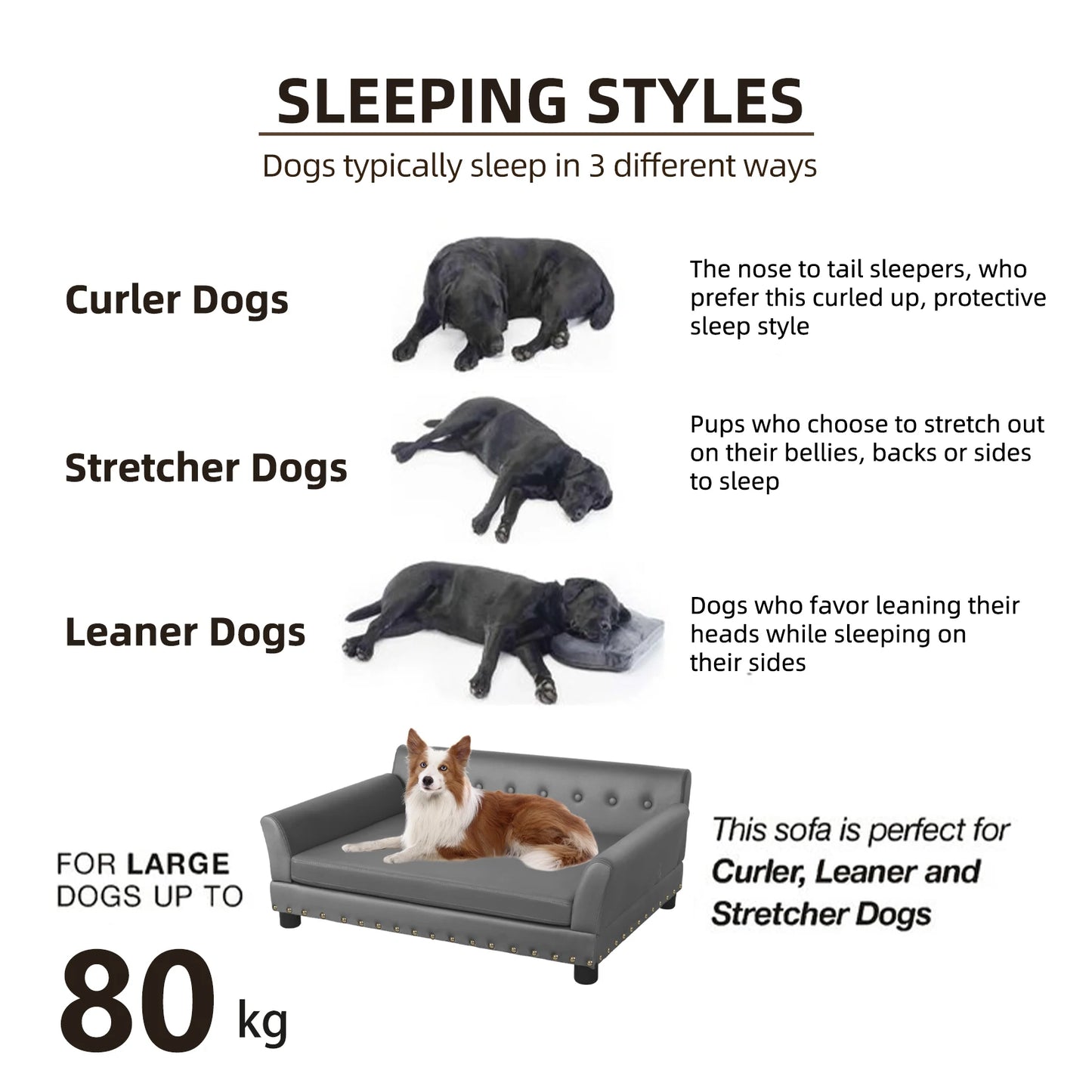 BINGOPAW Elevated Dog Bed Sofa with Removable Cushion