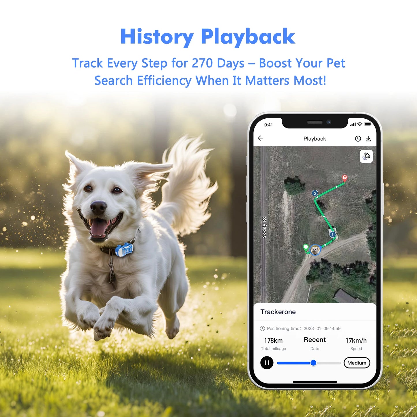 WANWAYTECH 4G Mini GPS Pet Tracker Waterproof Live Locator
