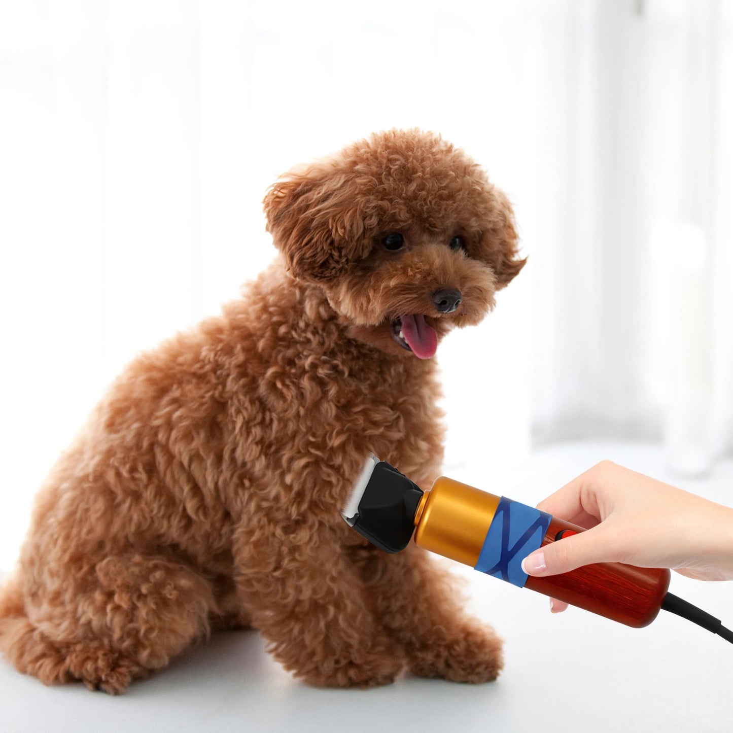 Pet Hair Clipper Professional Electric Dog Grooming Tool