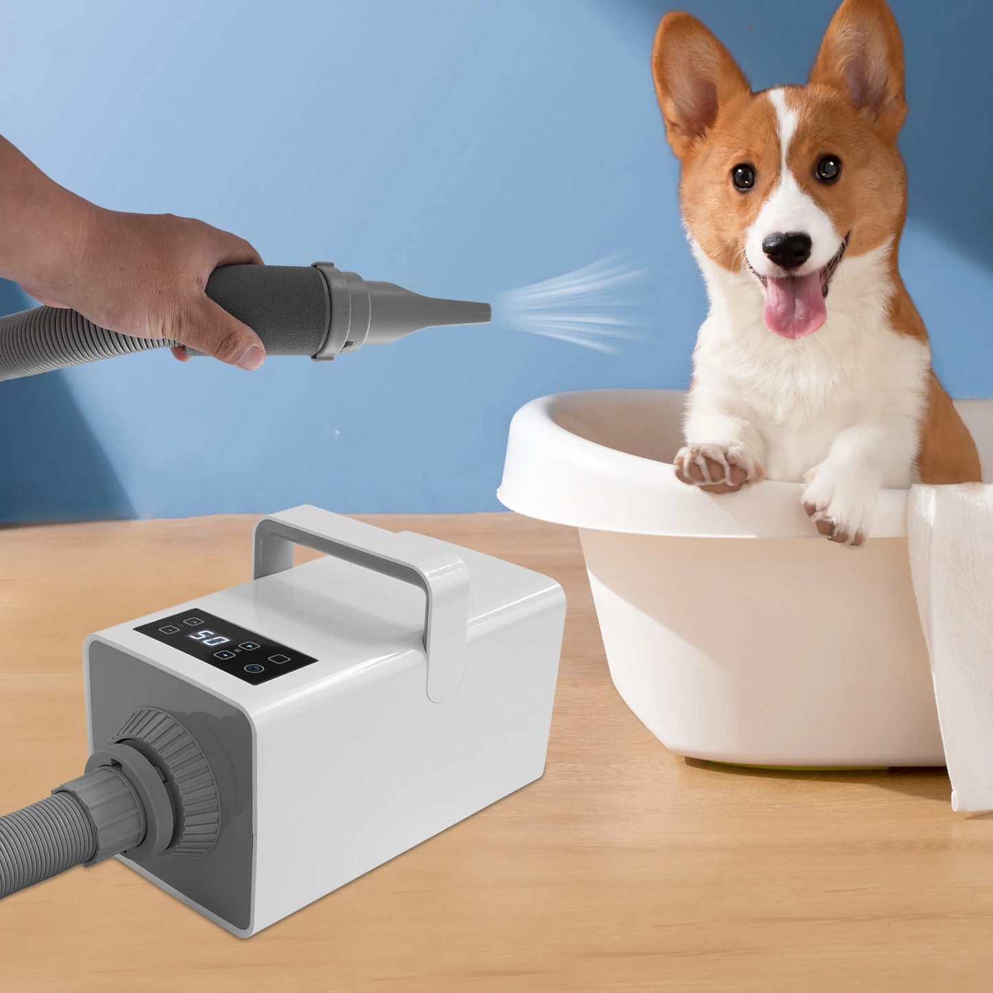 2200W Pet Grooming Dryer with Adjustable Temp and LCD Display