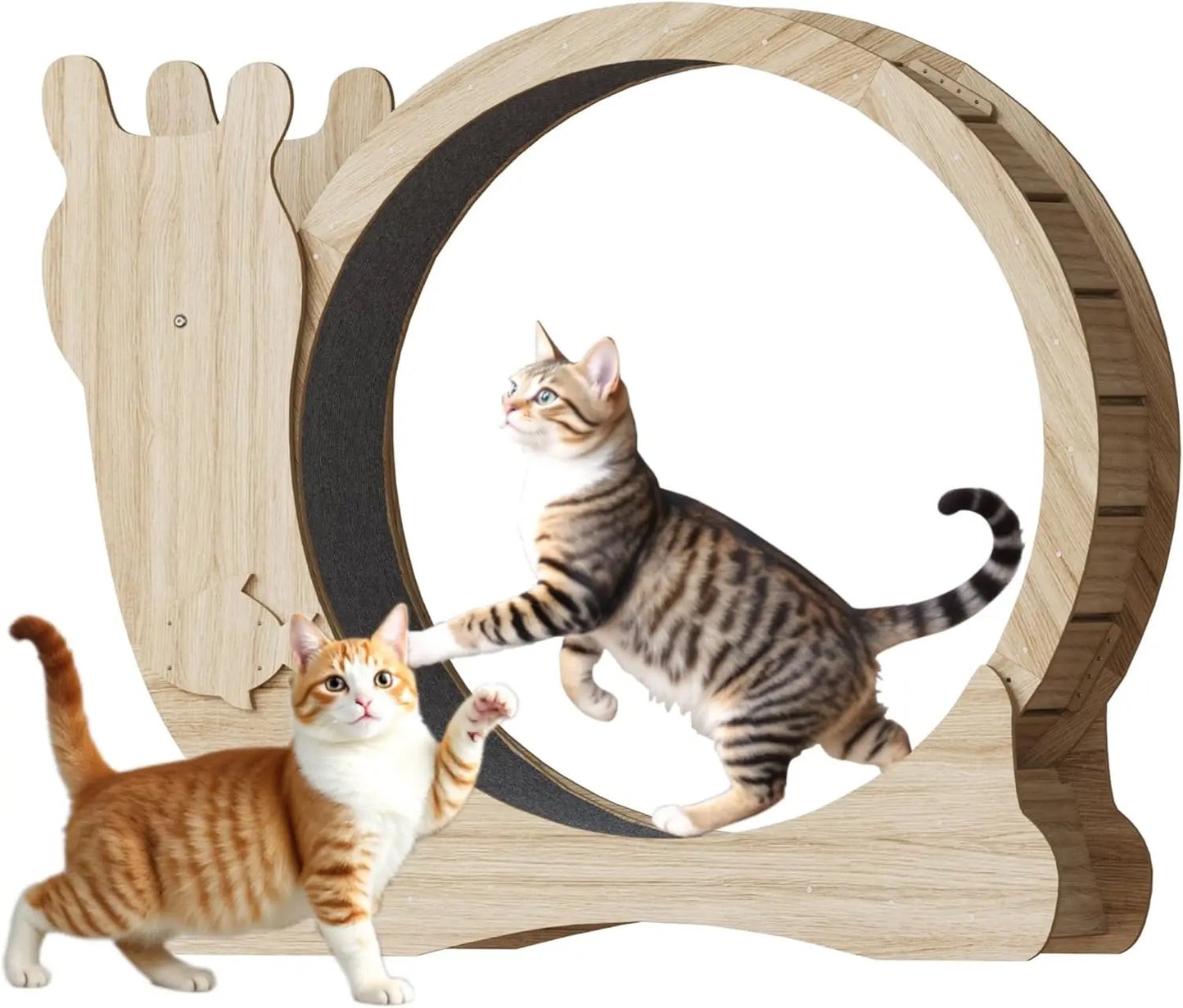 Cat Exercise Wheel with Locking Mechanism and Silent Design
