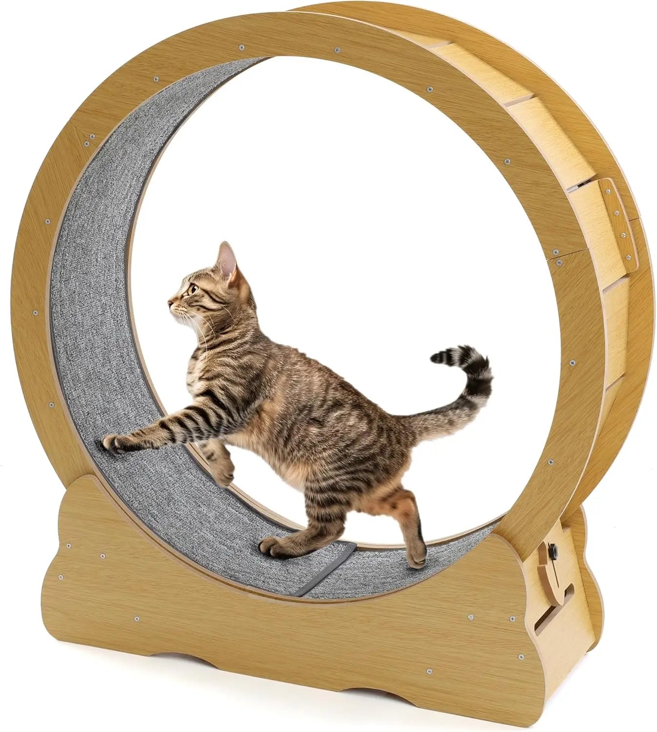 Cat Wheel for Indoor Cats by NoEnName