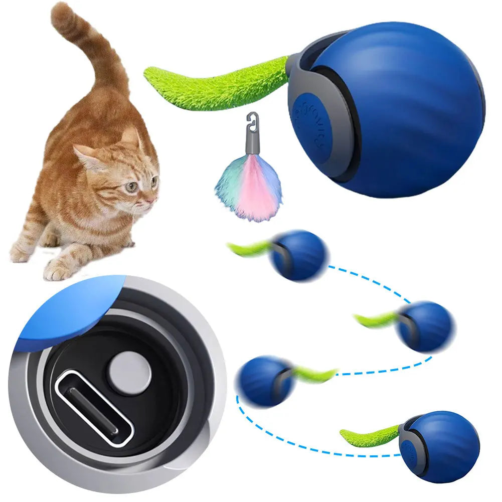 Guangdong Rechargeable Interactive Rolling Ball Pet Toy