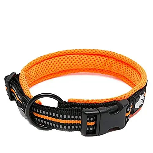 Truelove Padded Reflective Nylon Dog Collar With Quick Release