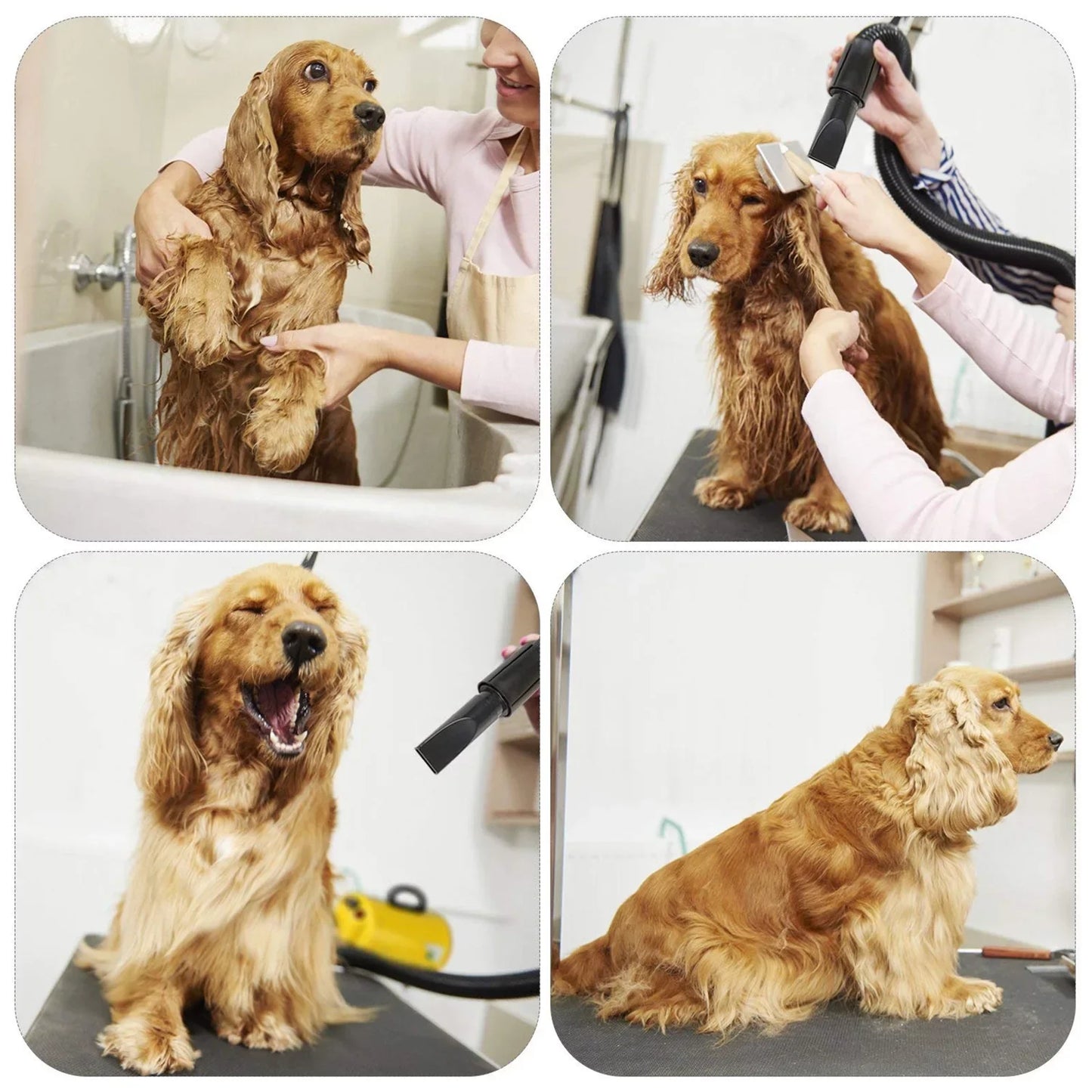 Dog Hair Dryer 3.8HP Pet Grooming Blower
