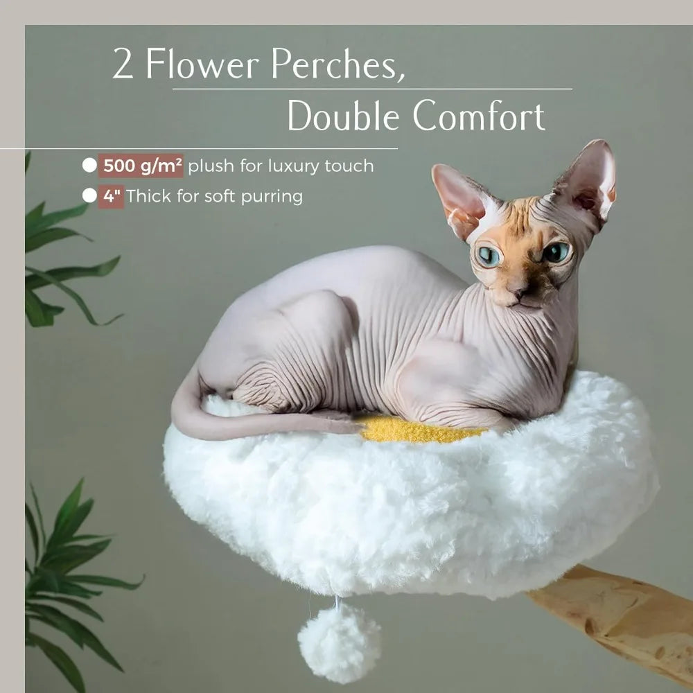 Dafify Cat Tree with Large Basket and Hammock