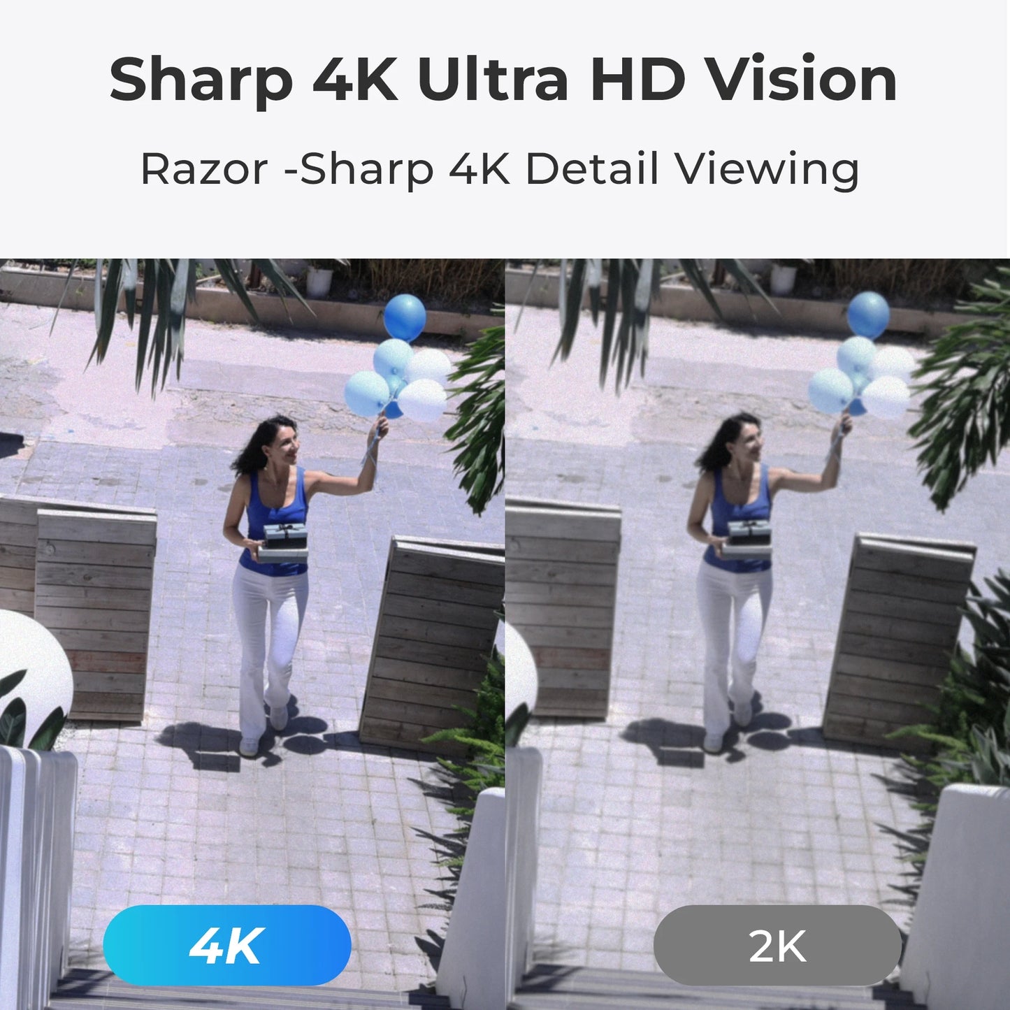 Reolink PoE Outdoor Security Camera With AI Detection