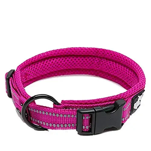 Truelove Padded Reflective Nylon Dog Collar With Quick Release