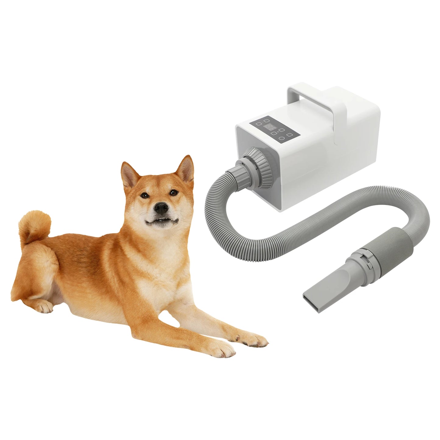 Modern Dog Pet Grooming Hair Dryer by NoEnName