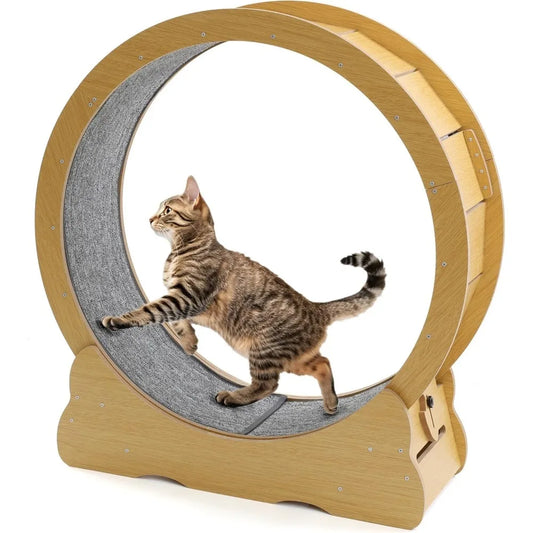 Cat Wheel for Indoor Cats by NoEnName
