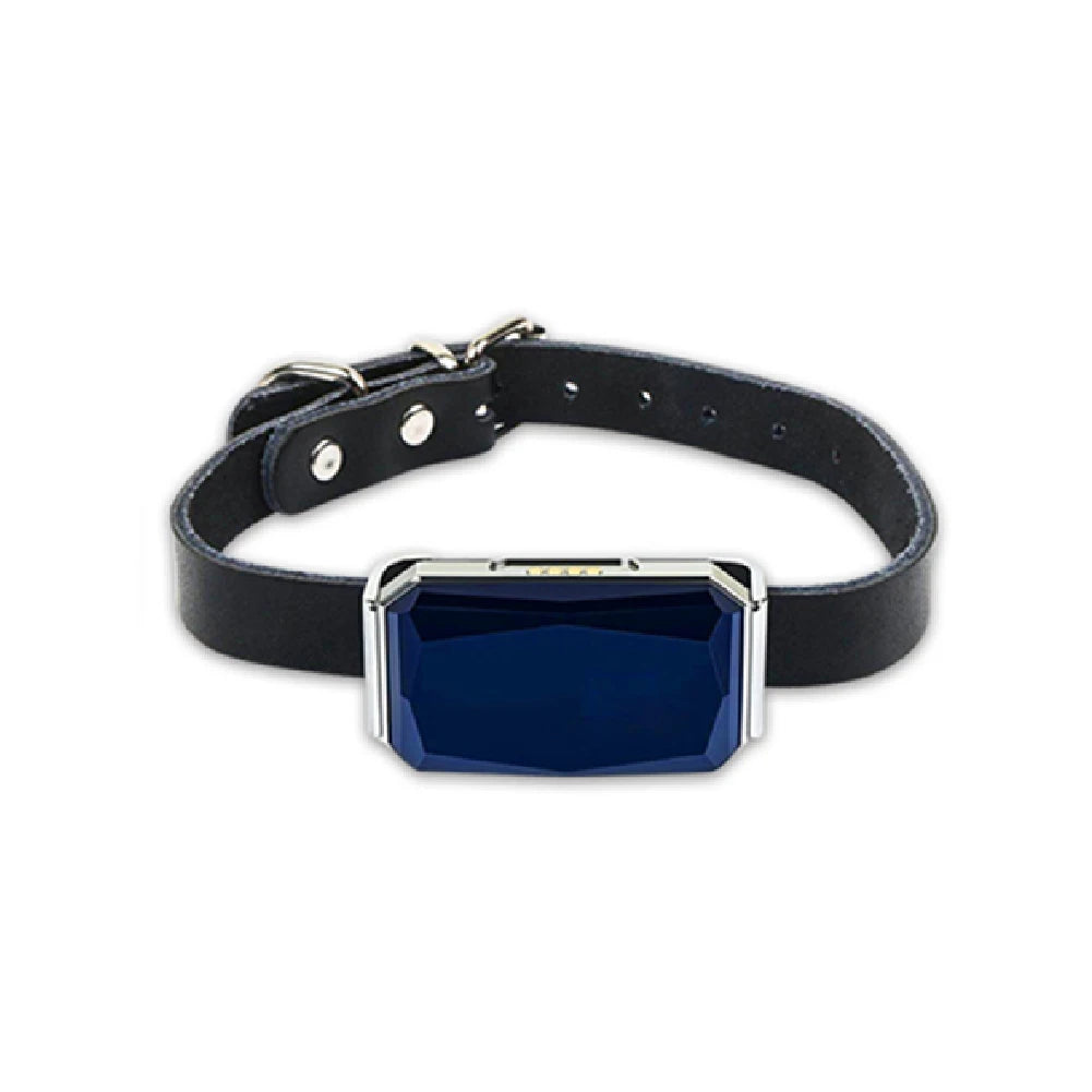 Alloyseed G12 Smart GPS Pet Tracker Collar Waterproof