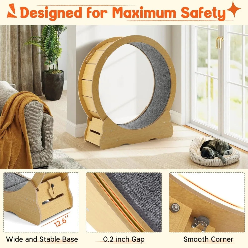 Cat Wheel for Indoor Cats by NoEnName