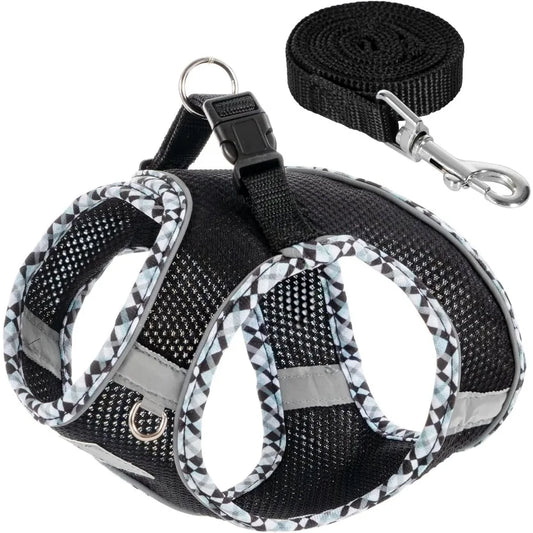 Dog Harness and Leash Set by NoEnName