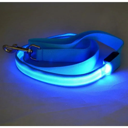 LED Glowing Dog Leash by NoEnName