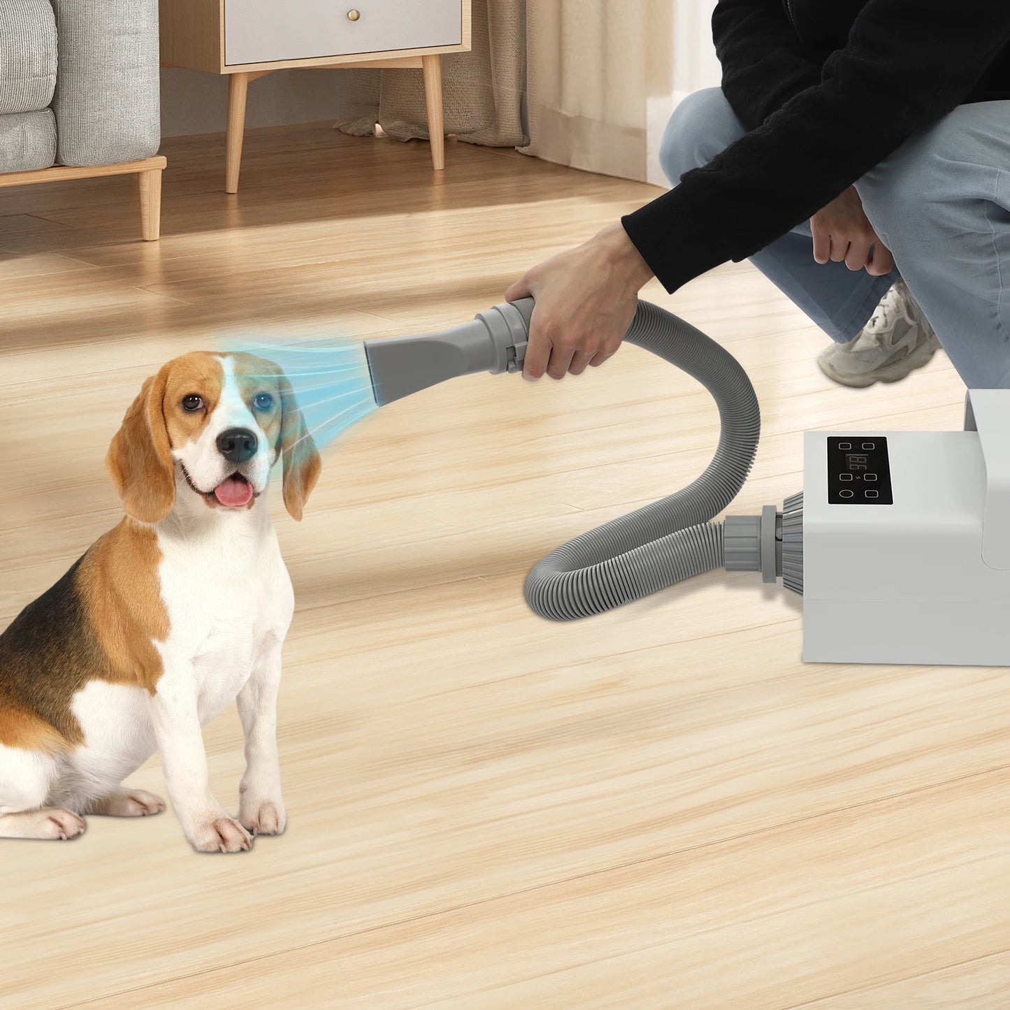 Modern Dog Pet Grooming Hair Dryer by NoEnName
