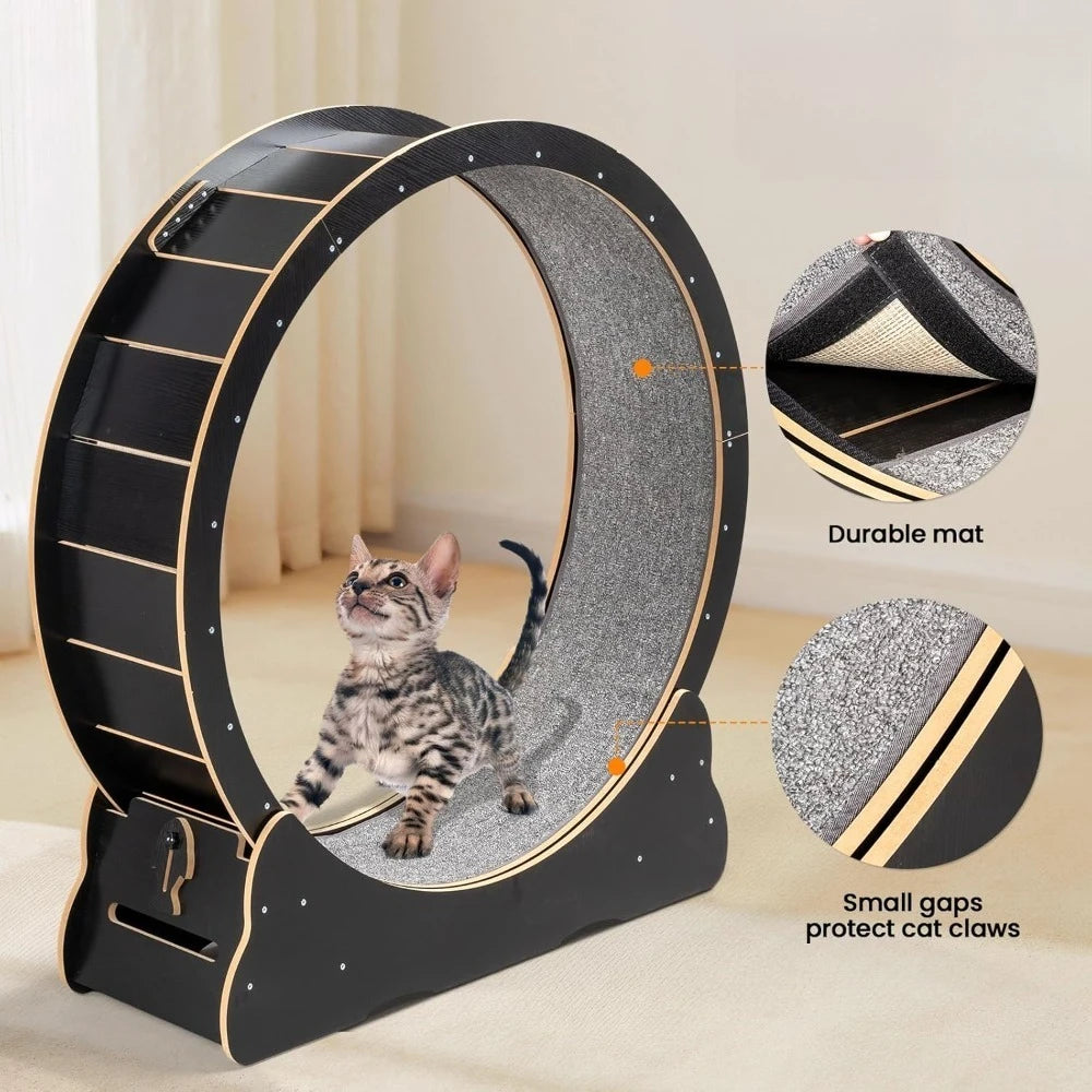 Cat Wheel Large Exercise Wheel for Indoor Cats