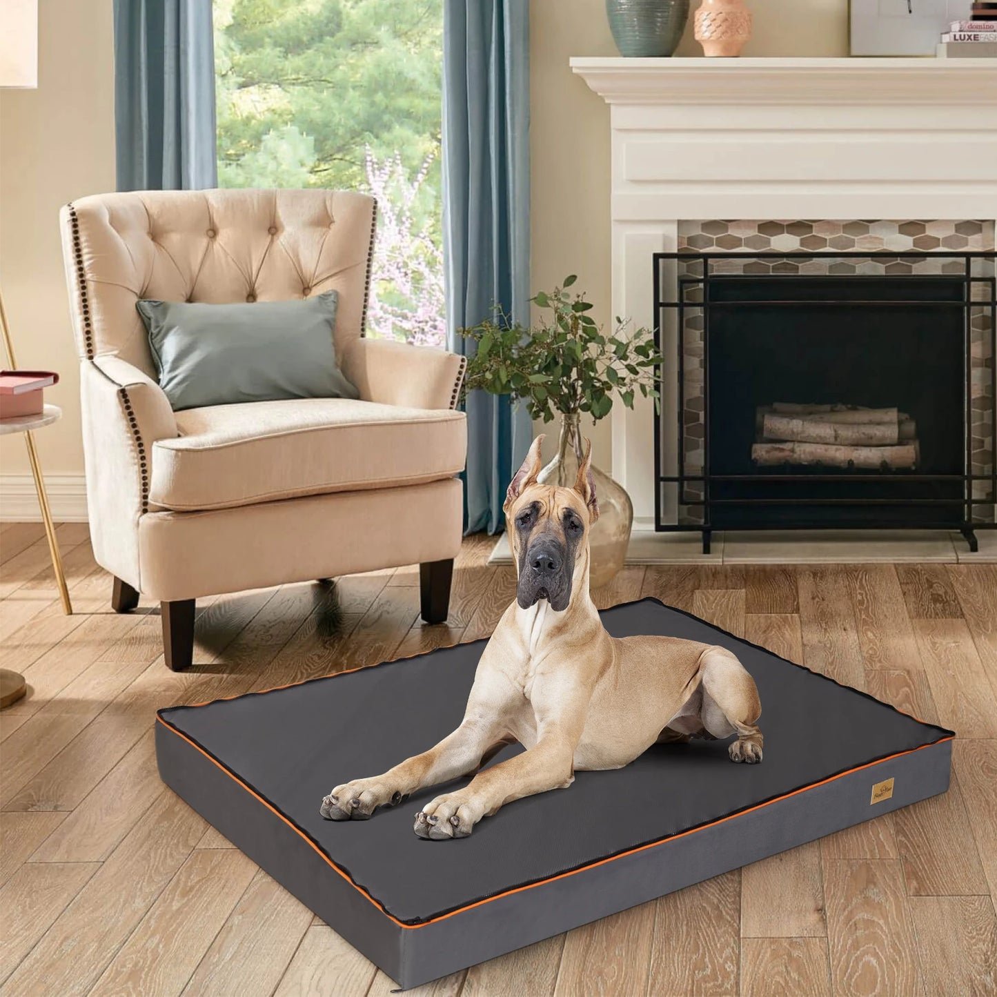 Bingopaw Waterproof Orthopedic Dog Bed Cushion