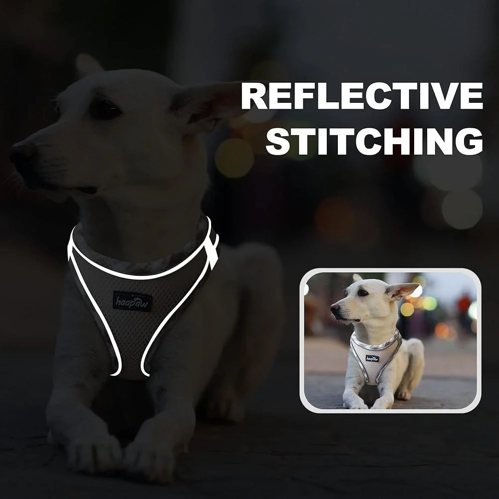 No Pull Dog Harness and Leash Set by NoEnName