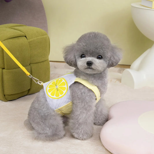 Pet Dog Harness Vest Summer Breathable Puppy Accessories Blue Yellow Dog Harnesses With Leash Kitten Chest Strap Leash Set XXL