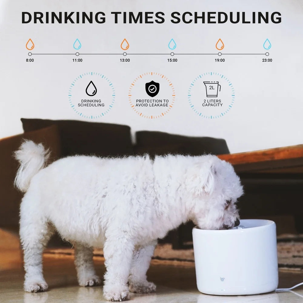 INSTACHEW Purrflow Smart Automatic Pet Water Fountain