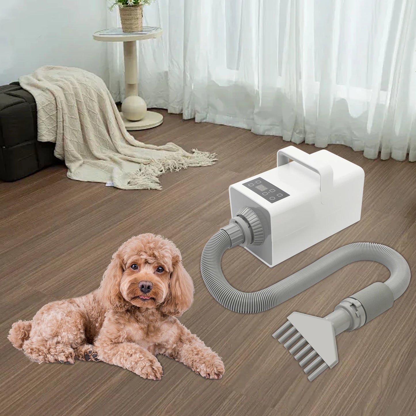 Modern Dog Pet Grooming Hair Dryer by NoEnName