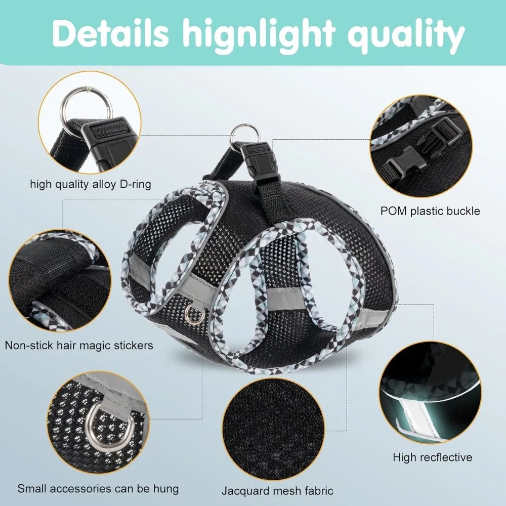 Dog Harness and Leash Set by NoEnName