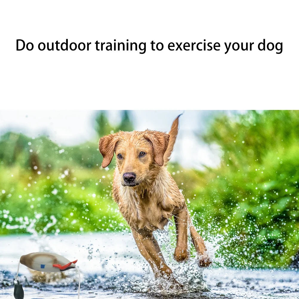 HiMISS Duck Bumper Training Dummy For Waterfowl Retrieval