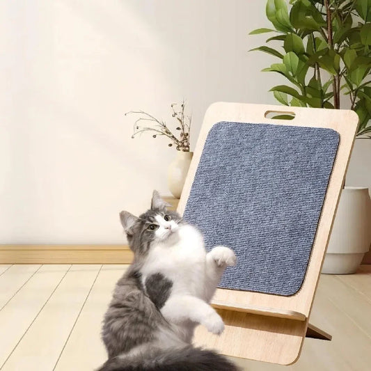 Cat Scratching Board Interactive Toy for Indoor Cats