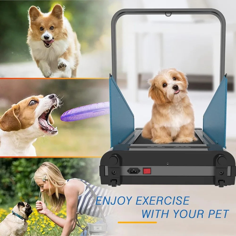 Dog Pacer Treadmill for Healthy Active Pets