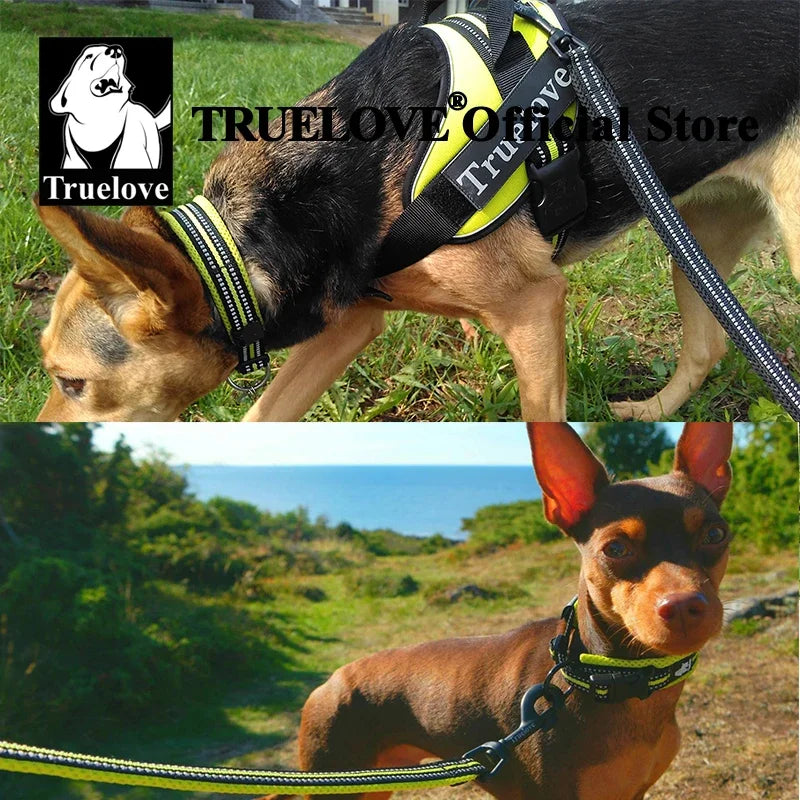 Truelove Padded Reflective Nylon Dog Collar With Quick Release