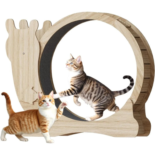 Cat Exercise Wheel with Locking Mechanism and Silent Design
