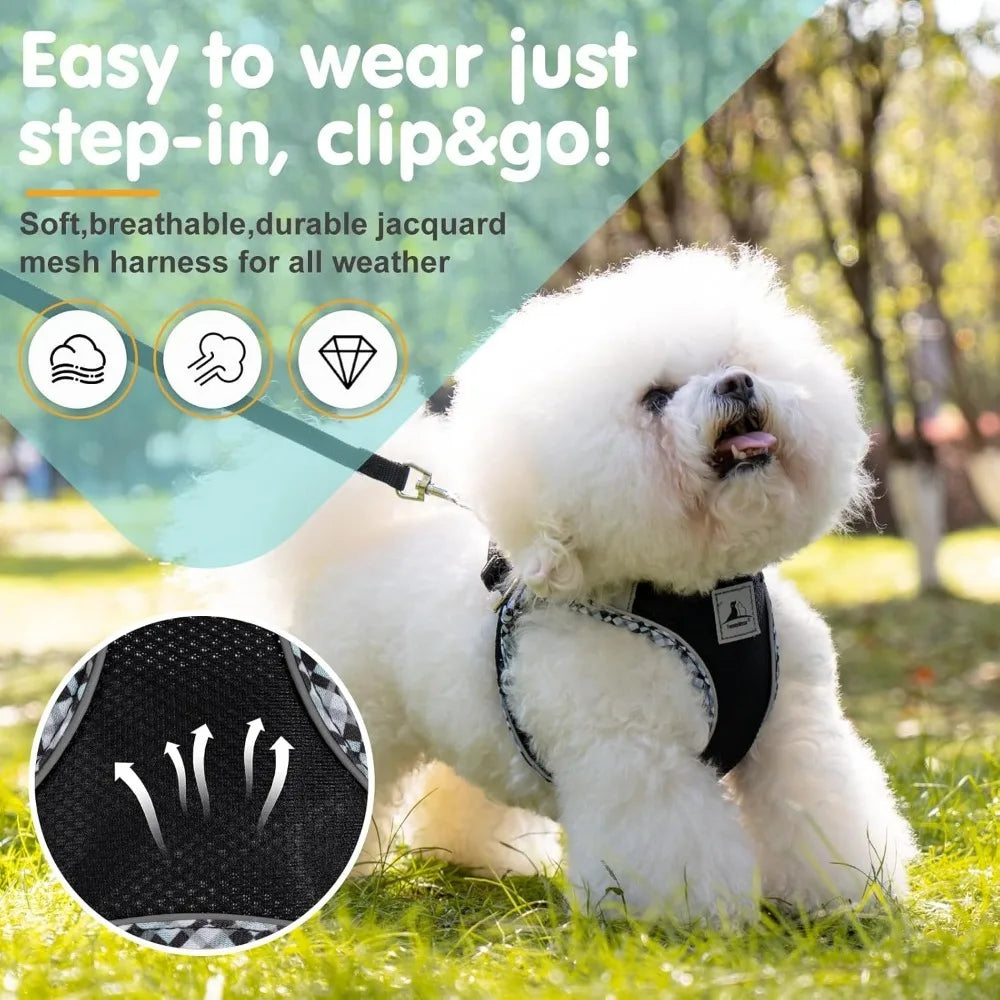 Dog Harness and Leash Set by NoEnName