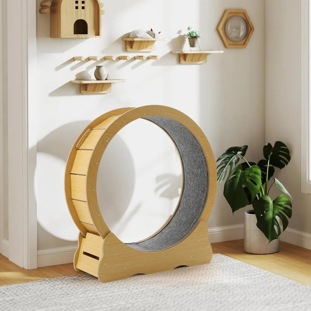 Cat Wheel for Indoor Cats by NoEnName