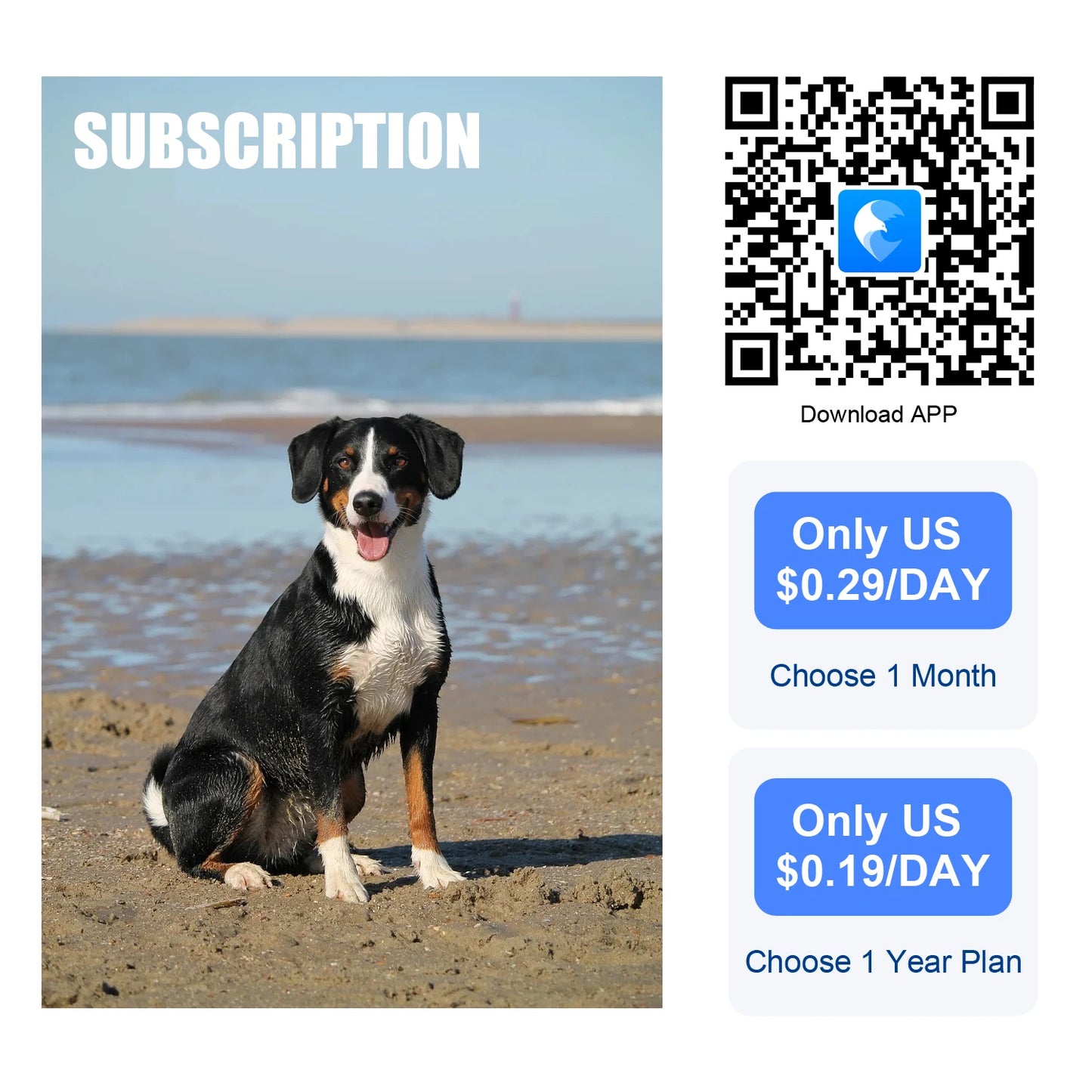 Wanwaytech 4G GPS Pet Tracker Waterproof Lost Finder