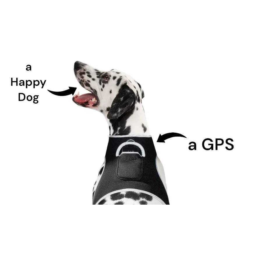 Hign Concerned Long Range GPS GSM Dog Tracking Collar