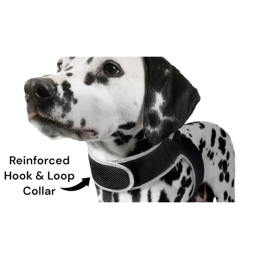 Hign Concerned Long Range GPS GSM Dog Tracking Collar